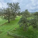 Wetzel 2 Apartman Hergensweiler