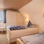 Wetzel 2 Apartman *